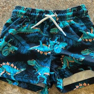 3T Carters Dino Swim Trunks